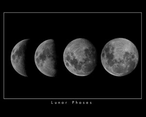 lunar cycle